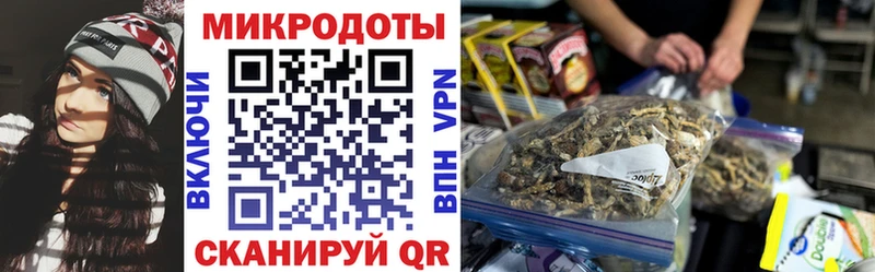 даркнет сайт  Верещагино  Псилоцибиновые грибы мухоморы 